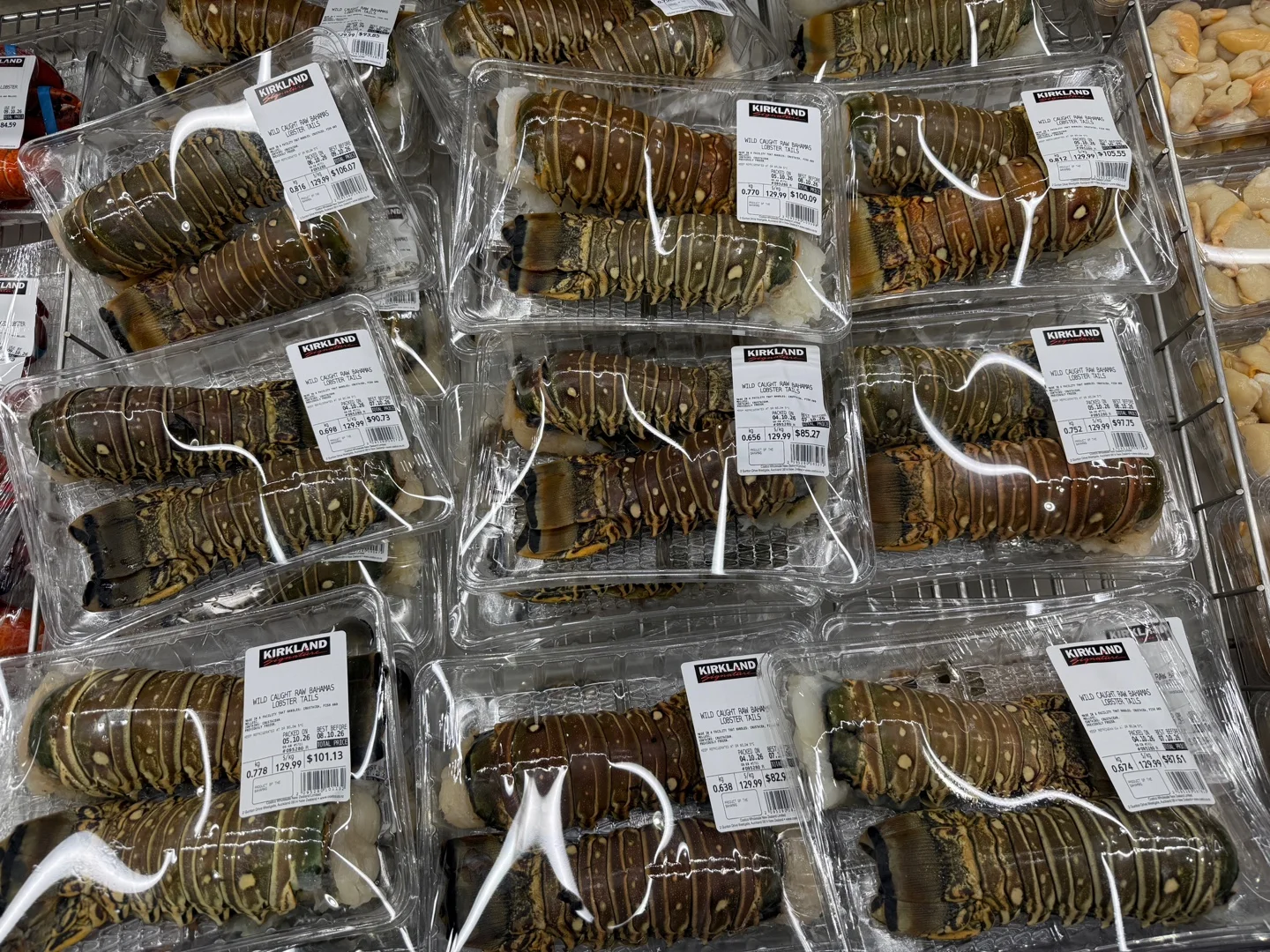 투명한 팩에 두 개씩 담긴 랍스터 꼬리. 라벨에 Wild Caught Raw Bahamas Lobster Tails, kg당 129.99라고 적혀 있다