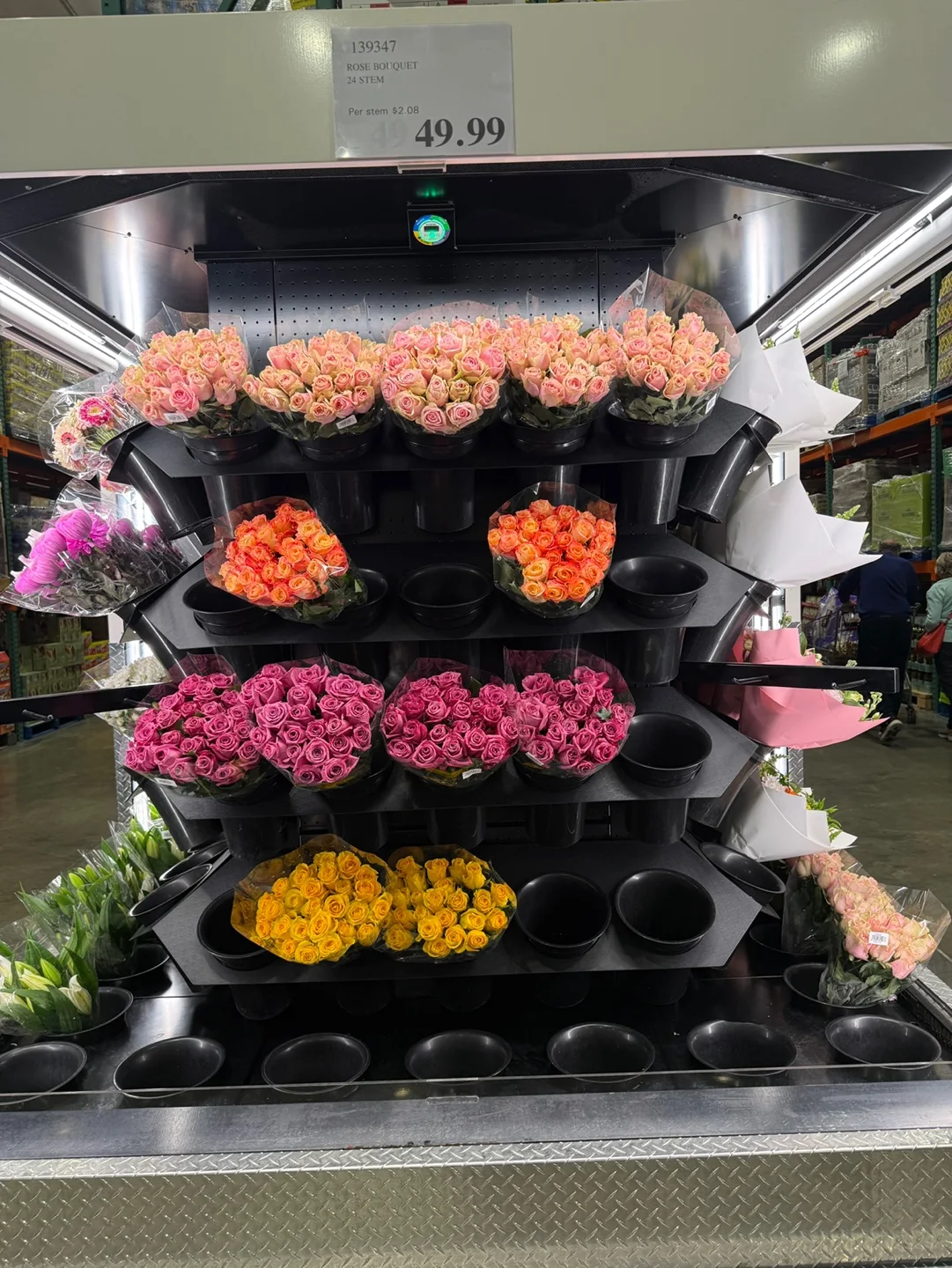 분홍, 주황, 진분홍, 노란 장미 다발이 놓인 꽃 진열대와 위쪽 가격표. Rose Bouquet 24 Stem 49.99라고 적혀 있다